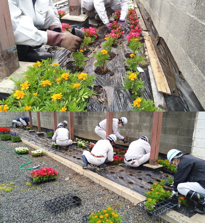 花植え活動