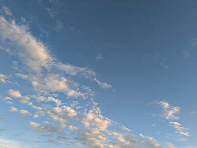 夏季休業のお知らせ　