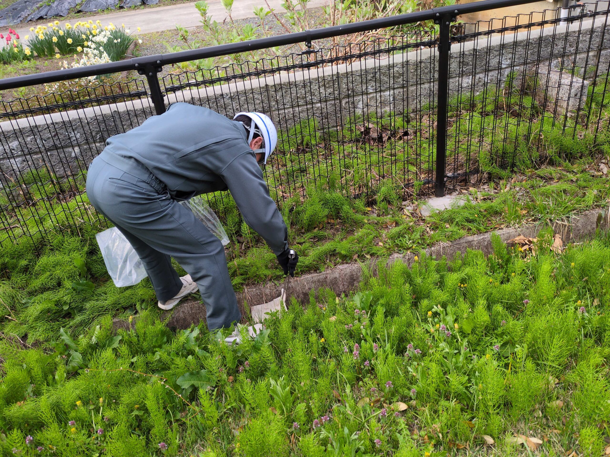 社会貢献清掃事業